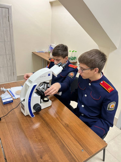 Фестиваль профессий "Билет в будущее".